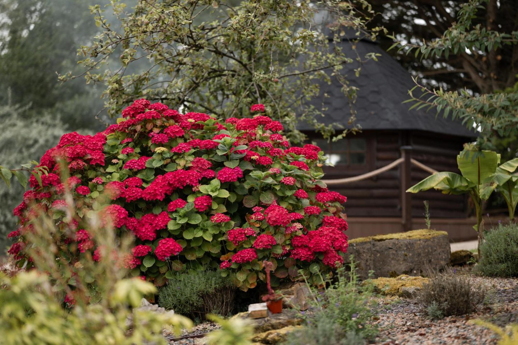Lakescape - Waterfront Self- Catering Cabins Enniskillen Luaran gambar